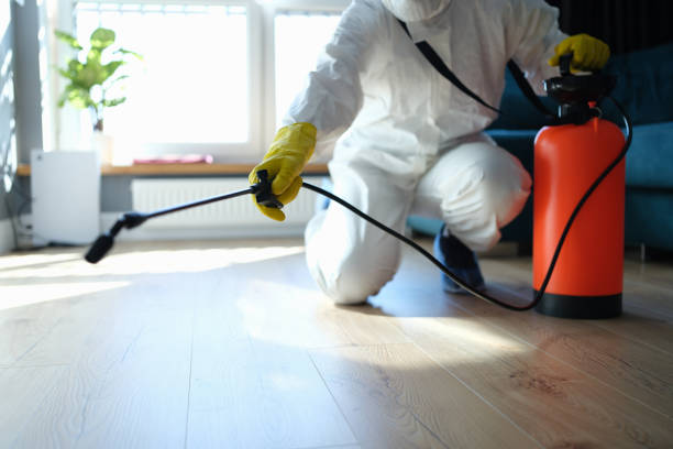 Reliable Odor Removal contractor in Sunnyside, CA by Crime Scene Cleaner Online